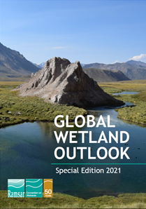Global Wetland Outlook                                                                                                                                                                                  